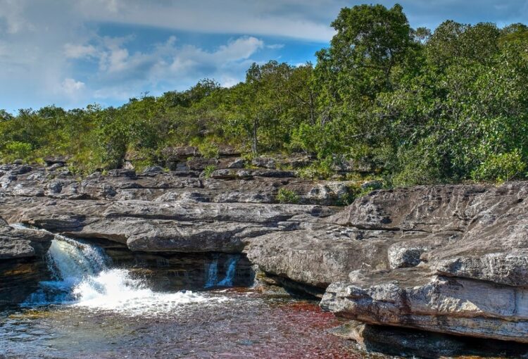 Caño Cristales