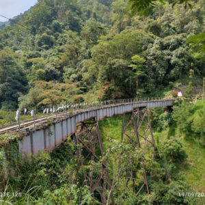 Caminatas 2024 - Viaducto Amagá