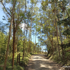 Caminata #39 – San Vicente Ferrer - Vereda Las Hojas