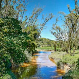 Caminata #39 – San Vicente Ferrer - Vereda Las Hojas