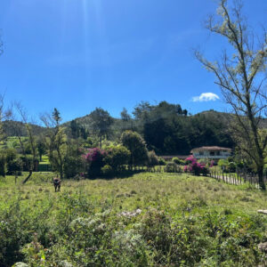 Caminata #39 – San Vicente Ferrer - Vereda Las Hojas