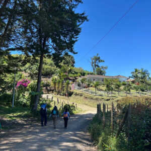 Caminata #39 – San Vicente Ferrer - Vereda Las Hojas